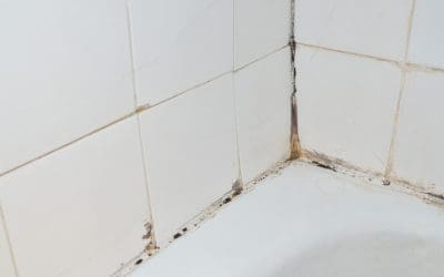 4 Signs of Mold Growth