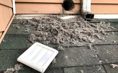 The Importance of Cleaning Your Dryer Vent at Home