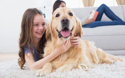 Fur, Paws, and Pristine Floors: Smart Cleaning Tips for Pet Owners